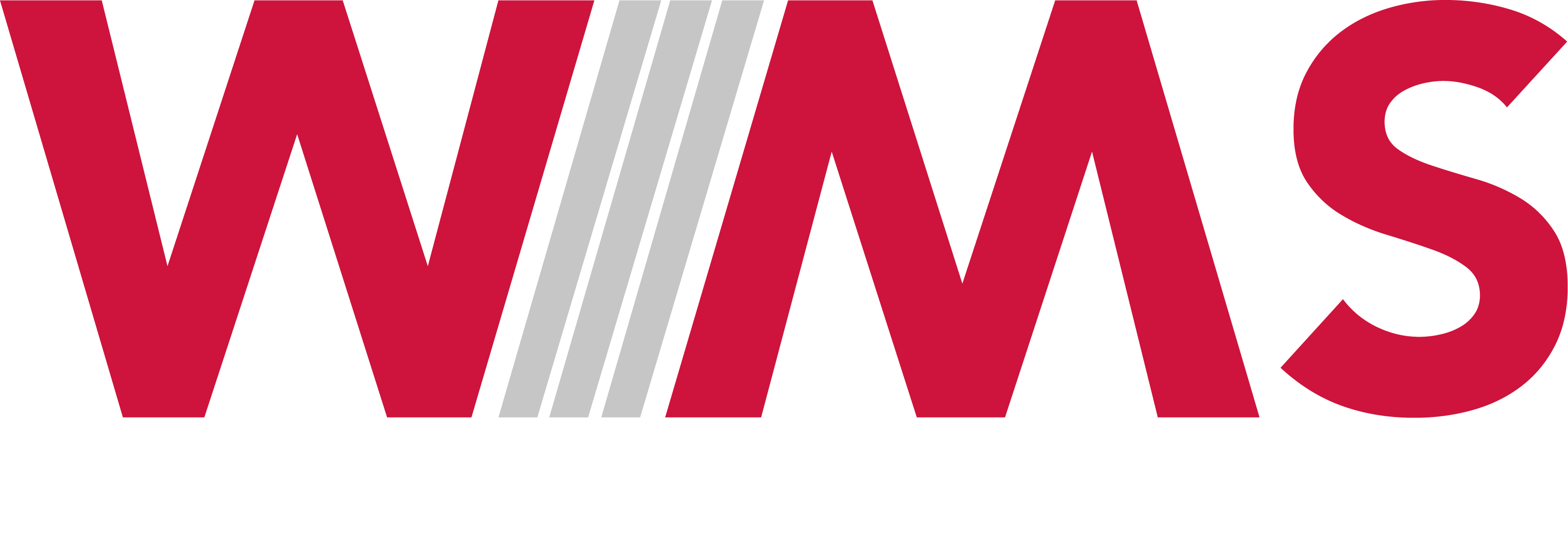 WMS Walter Meile GmbH Logo