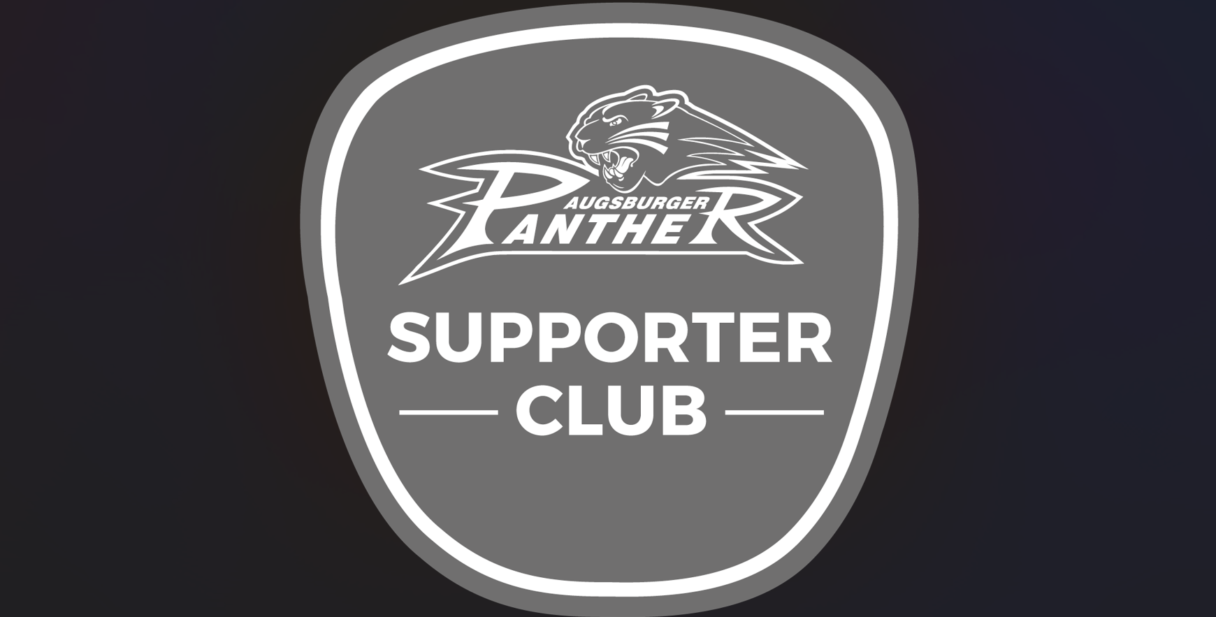 Walter Meile trifft Eishockey